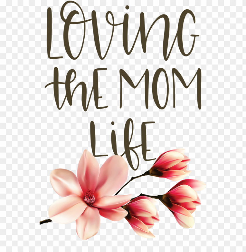 Mother's Day Floral design Cut flowers Petal for Love You Mom for Mothers Day PNG image with transparent background@toppng.com