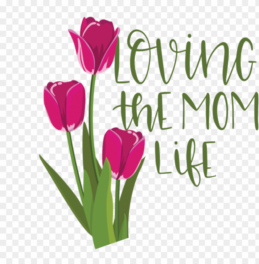 free PNG Mother's Day Floral design Cut flowers Plant stem for Love You Mom for Mothers Day PNG image with transparent background PNG images transparent