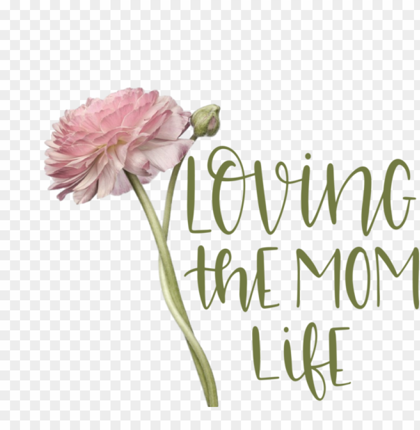free PNG Mother's Day Floral design Plant stem Cut flowers for Love You Mom for Mothers Day PNG image with transparent background PNG images transparent
