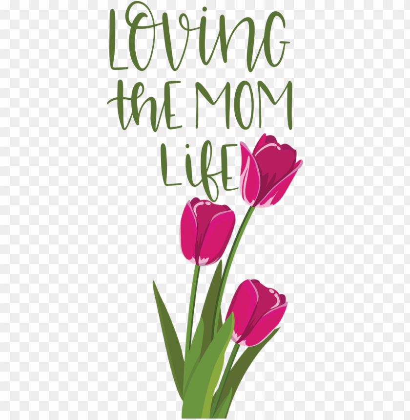 Mother's Day Floral design Plant stem Tulip for Love You Mom for Mothers Day PNG image with transparent background@toppng.com