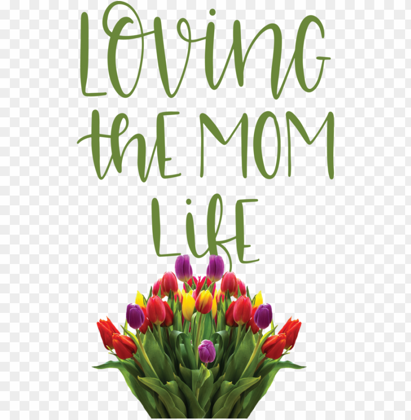 free PNG Mother's Day Floral design Tulip Cut flowers for Love You Mom for Mothers Day PNG image with transparent background PNG images transparent