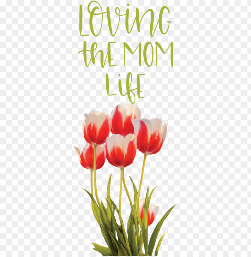 Mother's Day Flower Cut Flowers Floral Design For Love You Mom For Mothers Day PNG Image With Transparent Background@toppng.com