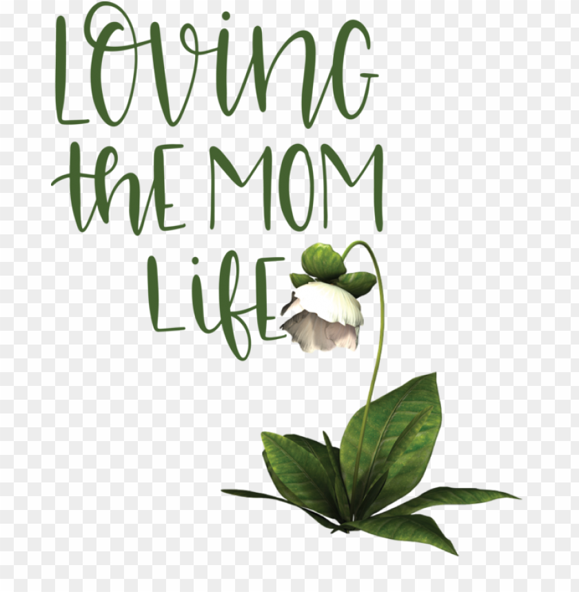 free PNG Mother's Day Herbal medicine Leaf Floral design for Love You Mom for Mothers Day PNG image with transparent background PNG images transparent