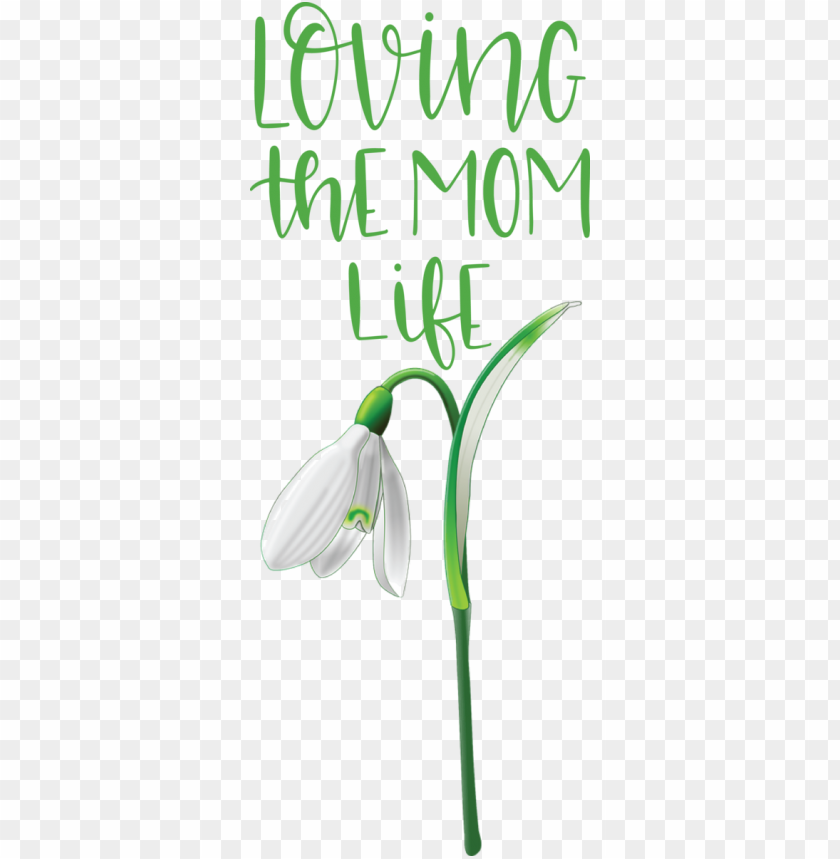 free PNG Mother's Day Leaf Plant stem Green for Love You Mom for Mothers Day PNG image with transparent background PNG images transparent