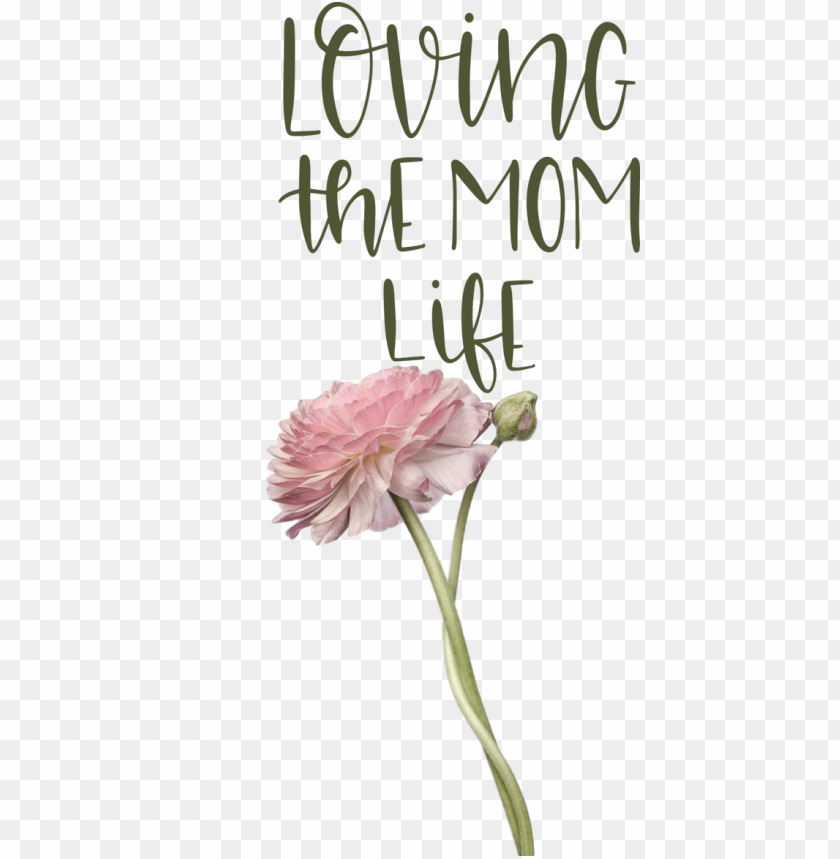 plant stem cut flowers petal,mothers day,love you mom,transparent png