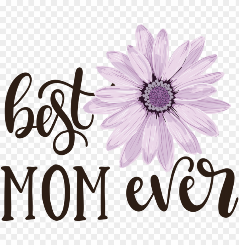 sticker daisy sticker design,mothers day,happy mothers day,transparent png