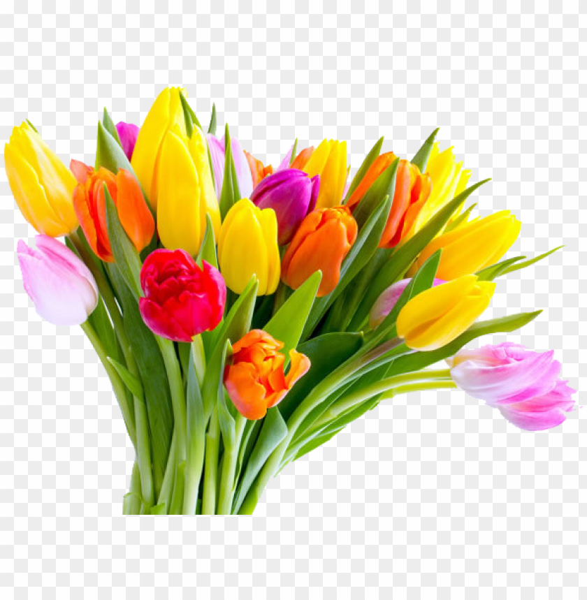 mothers day tulip flower bouquet - tulips for mother's day, mother day