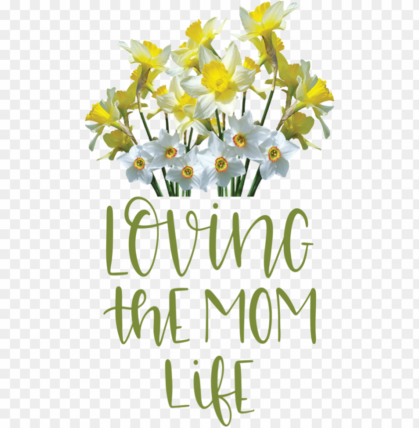 free PNG Mother's Day Wild daffodil Amaryllidaceae Tulip for Love You Mom for Mothers Day PNG image with transparent background PNG images transparent