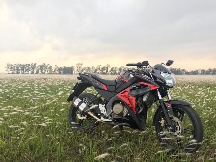 motorcycle, bike, sports, side view, field, grass