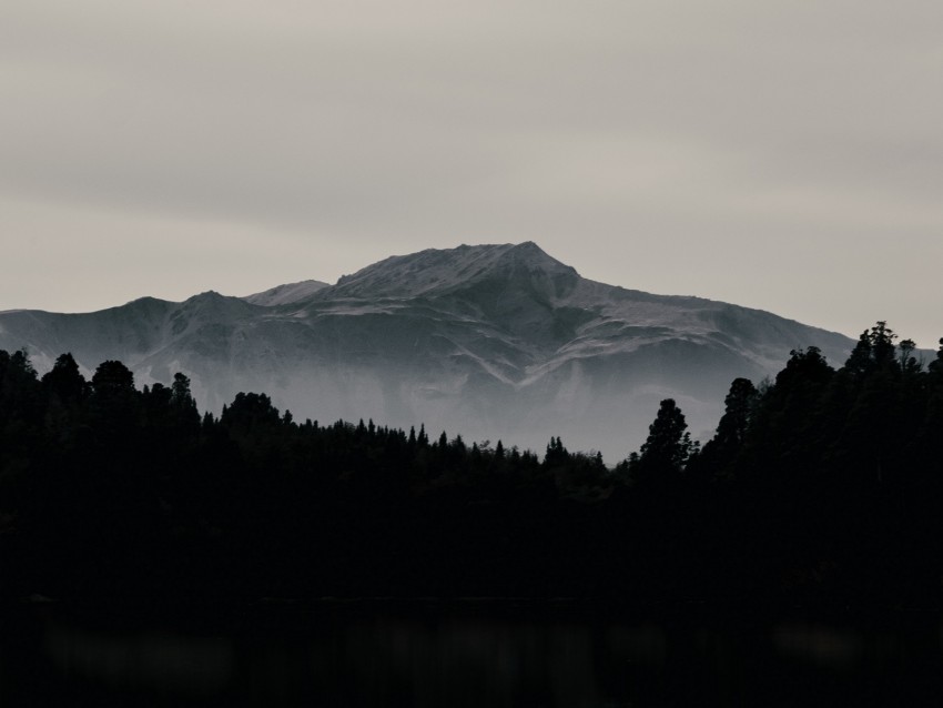 mountain, forest, dark, lake, reflection, landscape