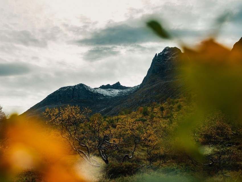 mountain, grass, blur, autumn