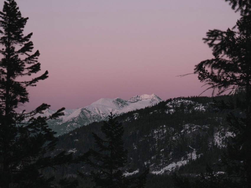 mountain, sunset, sky, trees, snowy, peak