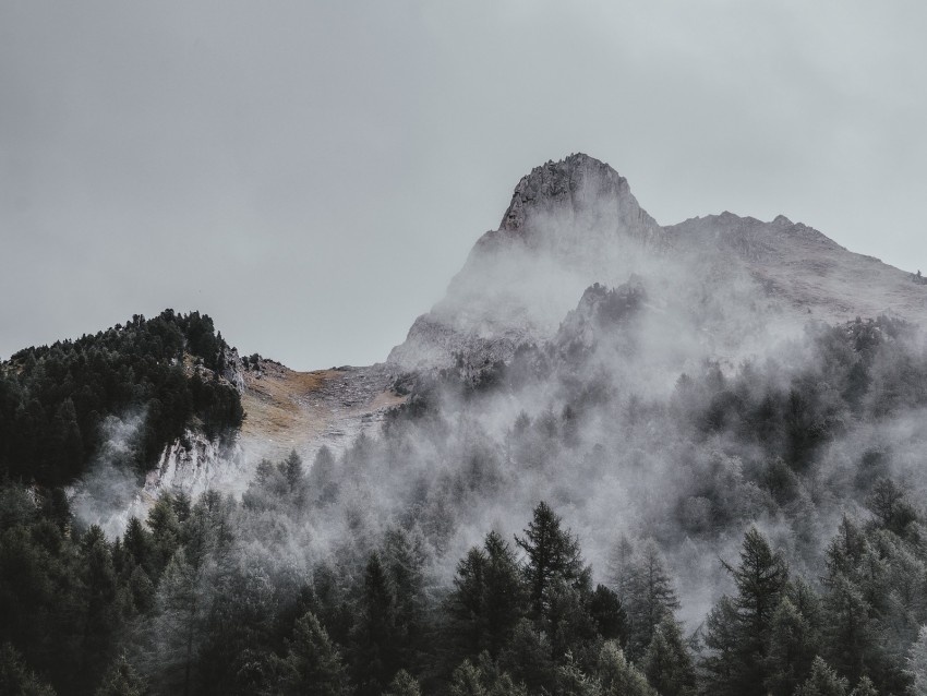 mountain, trees, fog, aerial view, sky, peak
