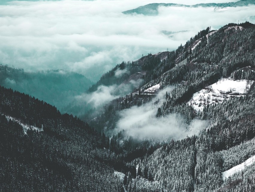 mountains, aerial view, fog, trees, snow
