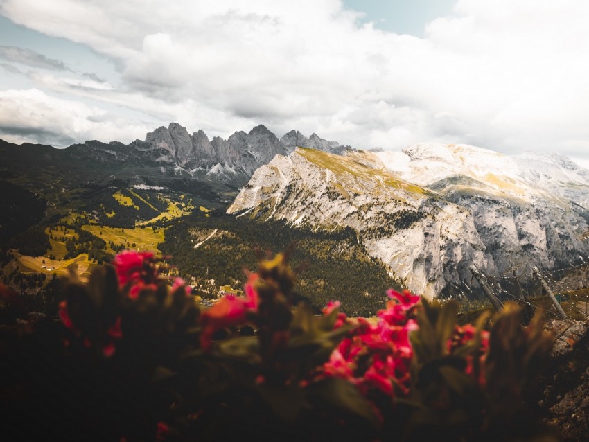 mountains, flowers, clouds, peaks, height
