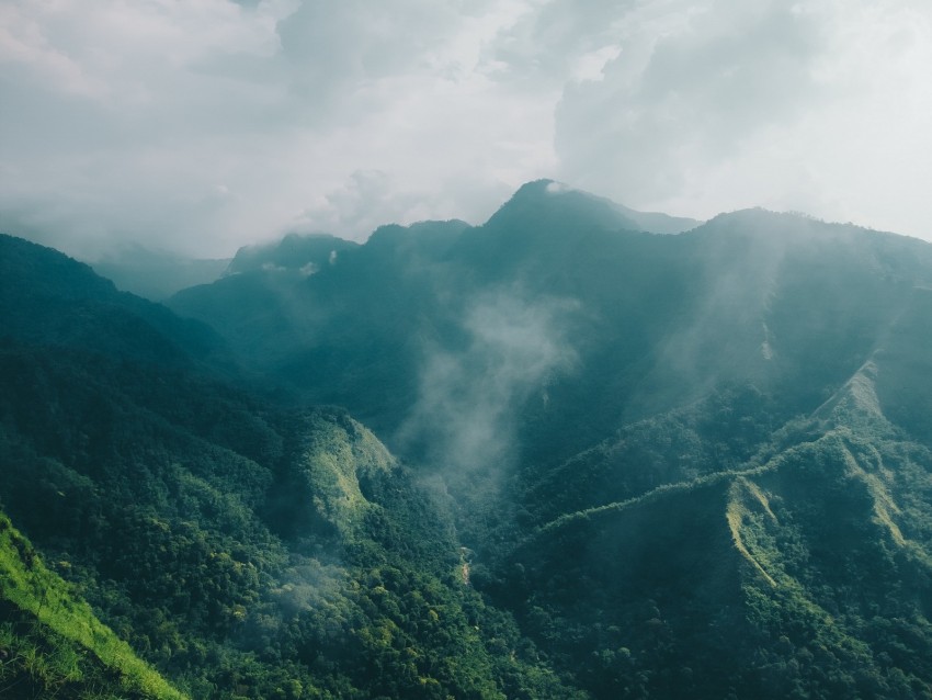 mountains, fog, clouds, trees, aerial view