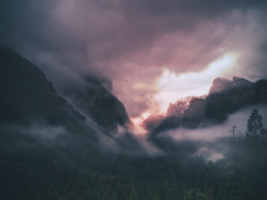 mountains, fog, trees, sky, clouds, aerial view