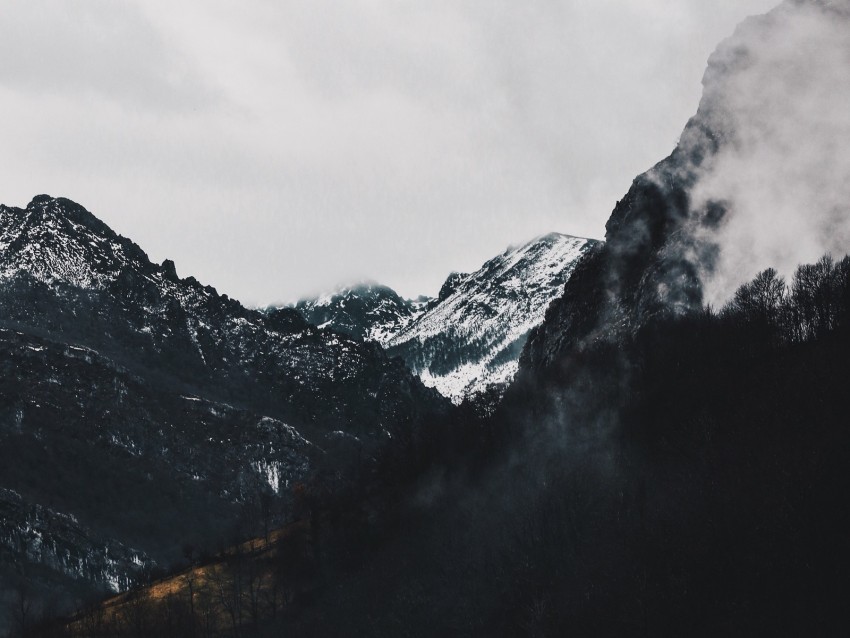 mountains, forest, fog, landscape, alpine