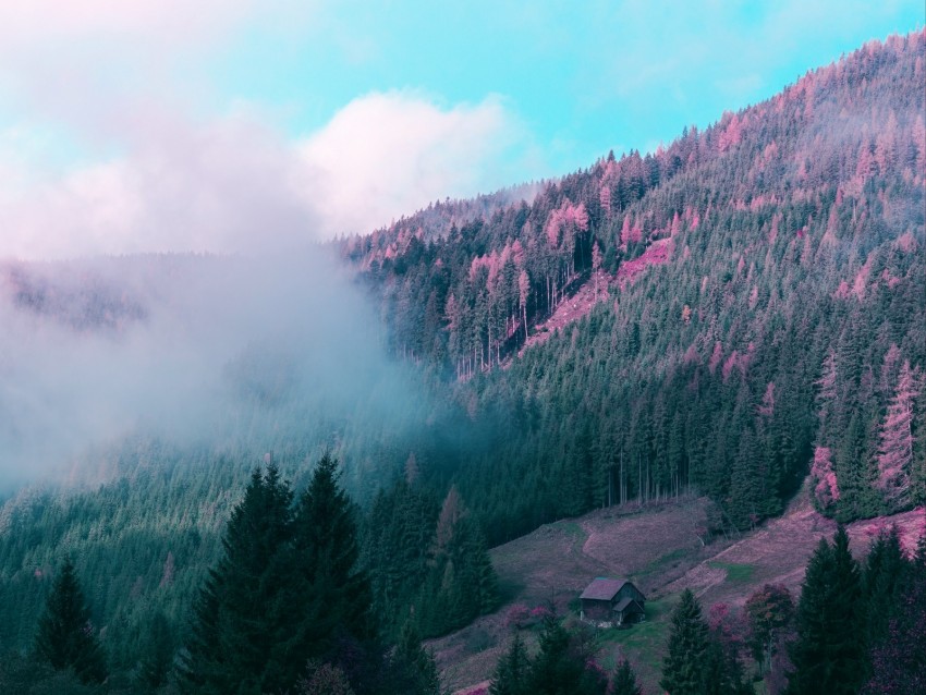 mountains, house, trees, forest, fog