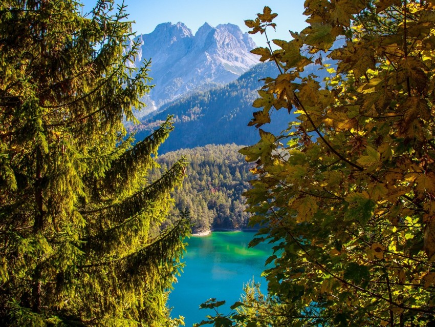 mountains, lake, branches, tyrol, austria