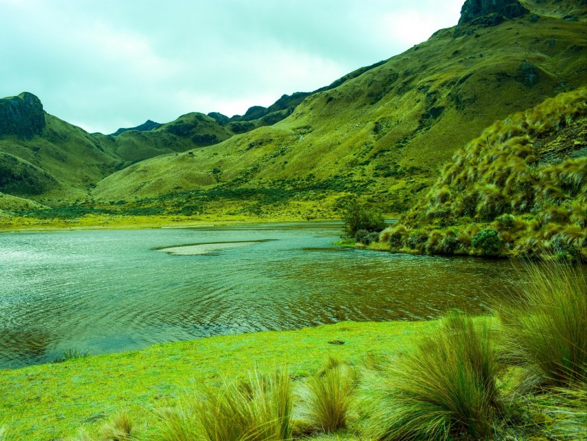mountains, lake, lagoon, green, grass