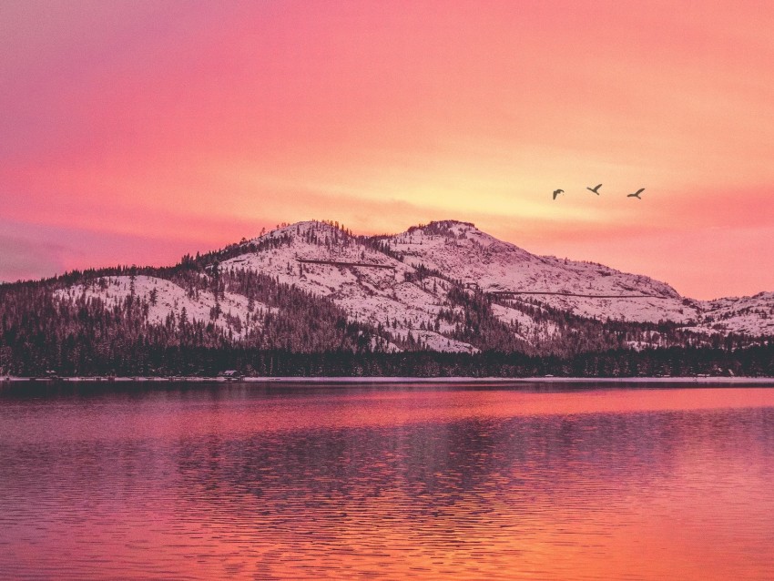 mountains, lake, sunset, horizon, birds