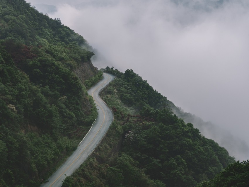 mountains, road, fog, forest, slope, height