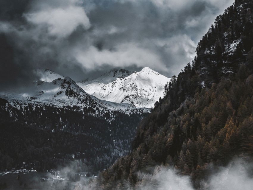 mountains, snow, peaks, fog, trees