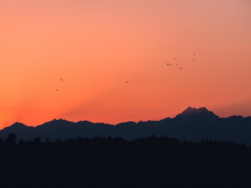 mountains, sunset, outlines, birds