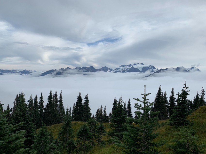 mountains, trees, fog, clouds, landscape