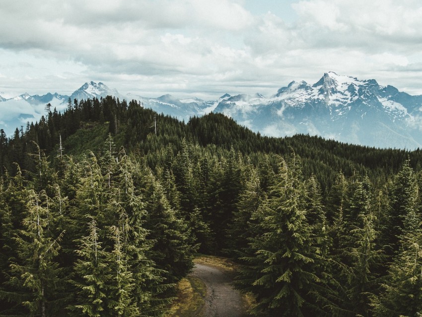 mountains, trees, road, aerial view, landscape, sky, darrington