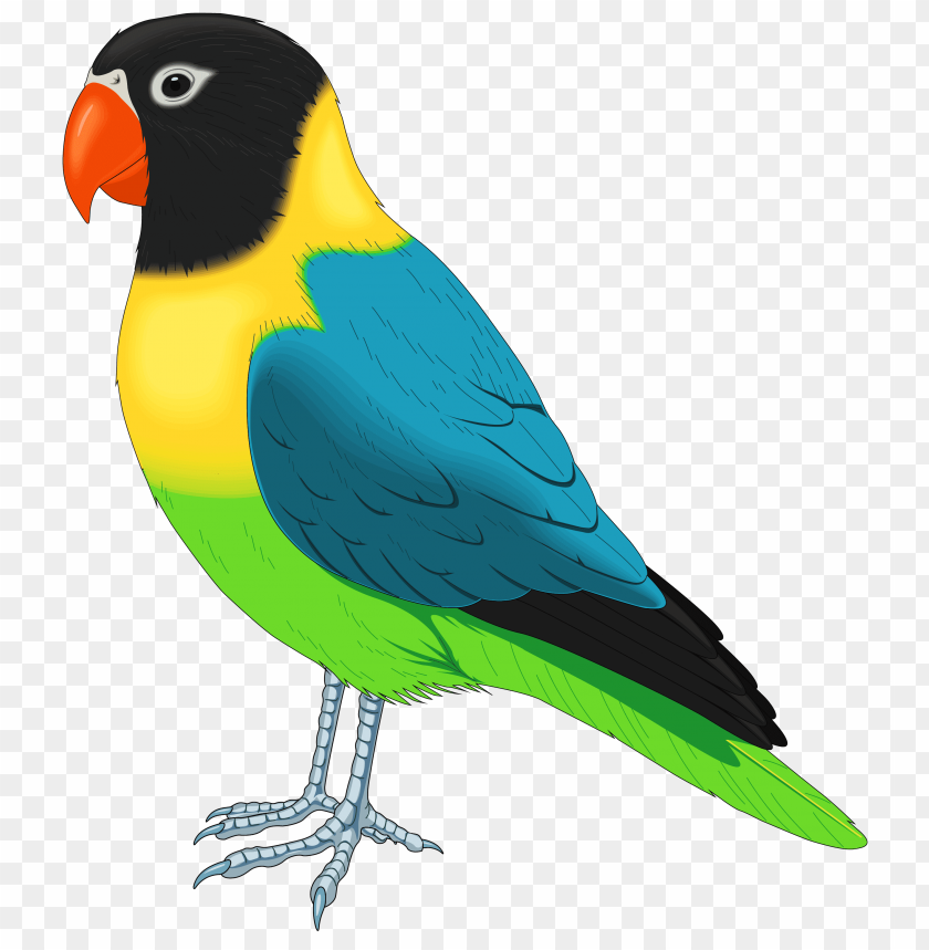 bird, multicolored