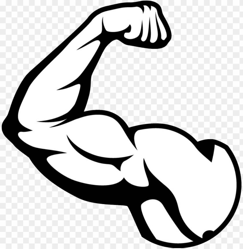 Download Muscle Clipart Png Photo Toppng - transparent roblox muscles
