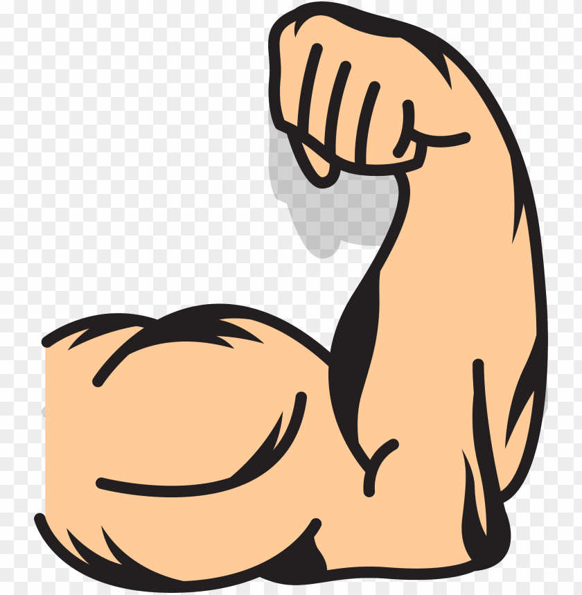 free PNG muscle arms muscle arms clip art - strong arms clip art PNG image with transparent background PNG images transparent