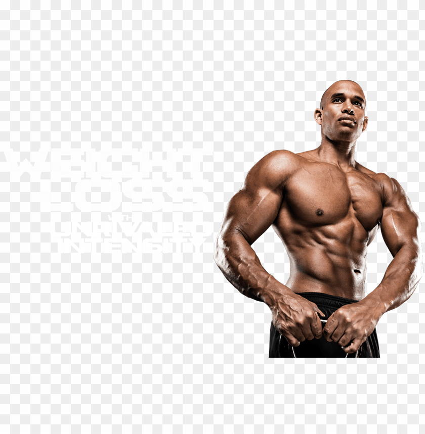 Transparent Background PNG Image Of Muscle - Image ID 20861