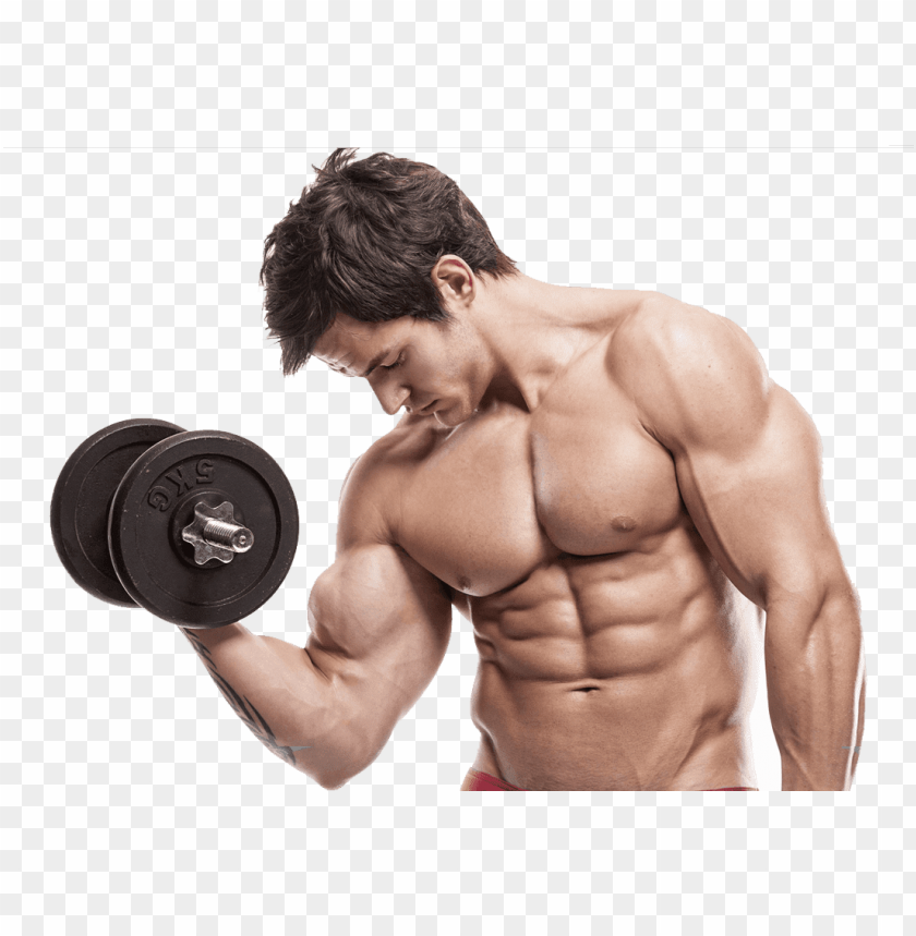 Transparent Background PNG Image Of Muscle - Image ID 20861