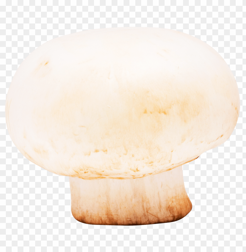 mushroom PNG images with transparent backgrounds - Image ID 13486