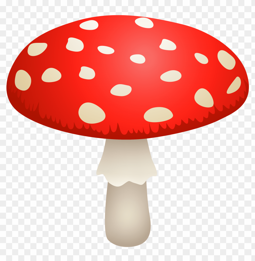 amanita, muscaria, mushroom