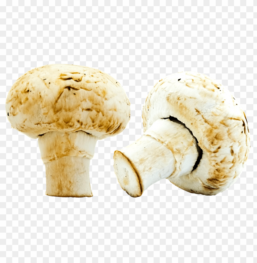 
food
, 
mushroom
