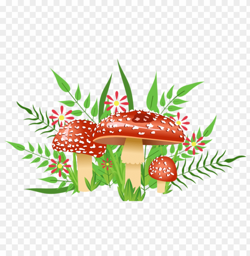 mushrooms decorative element
