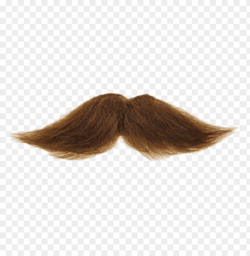 people, mustaches, mustache brown, 