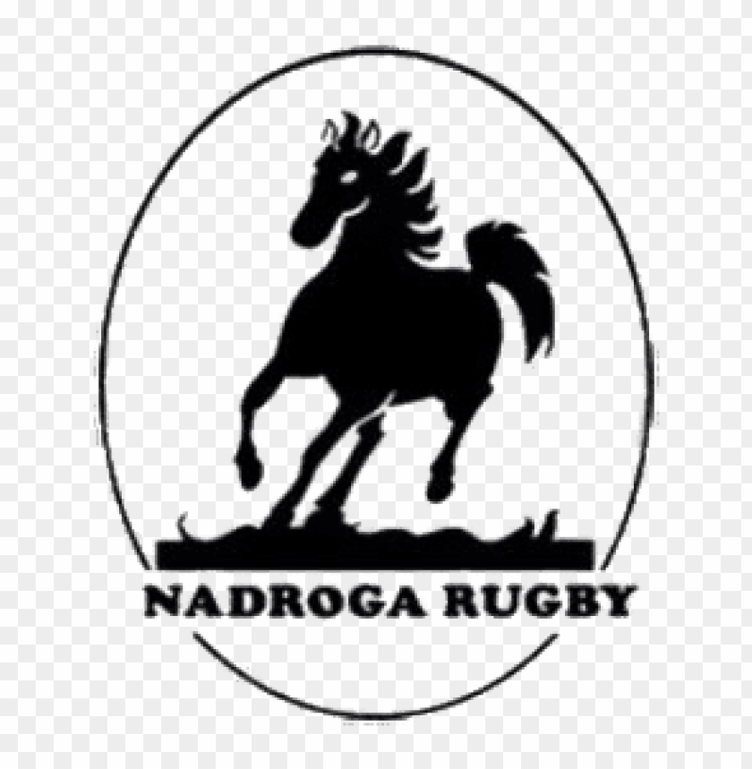sports, rugby teams fiji, nadroga rugby logo, 