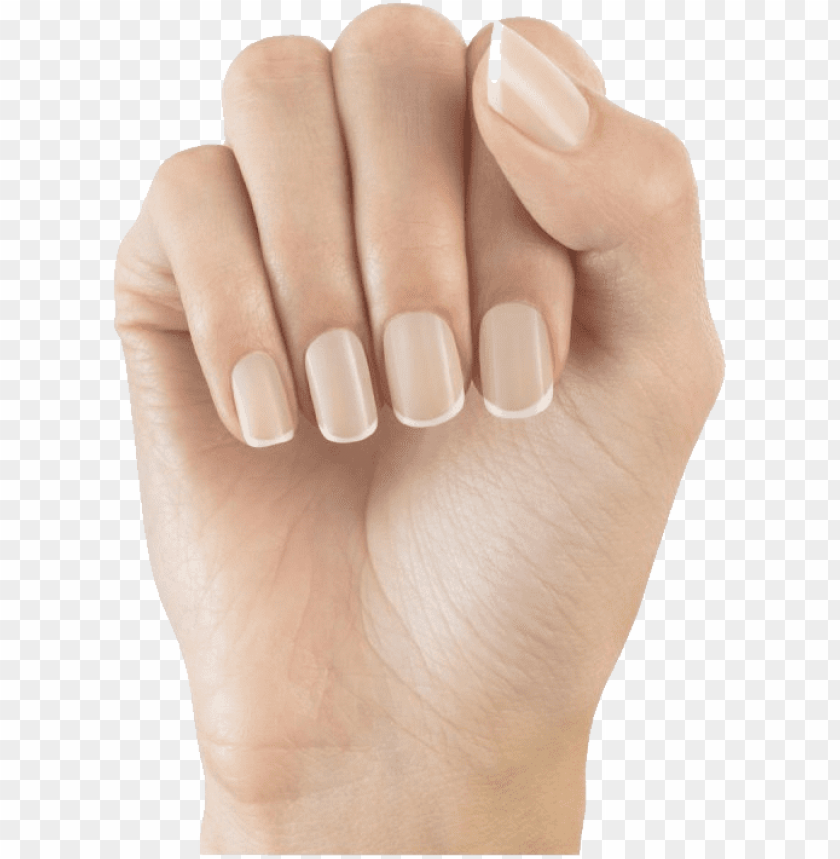 Transparent background PNG image of nails - Image ID 20456