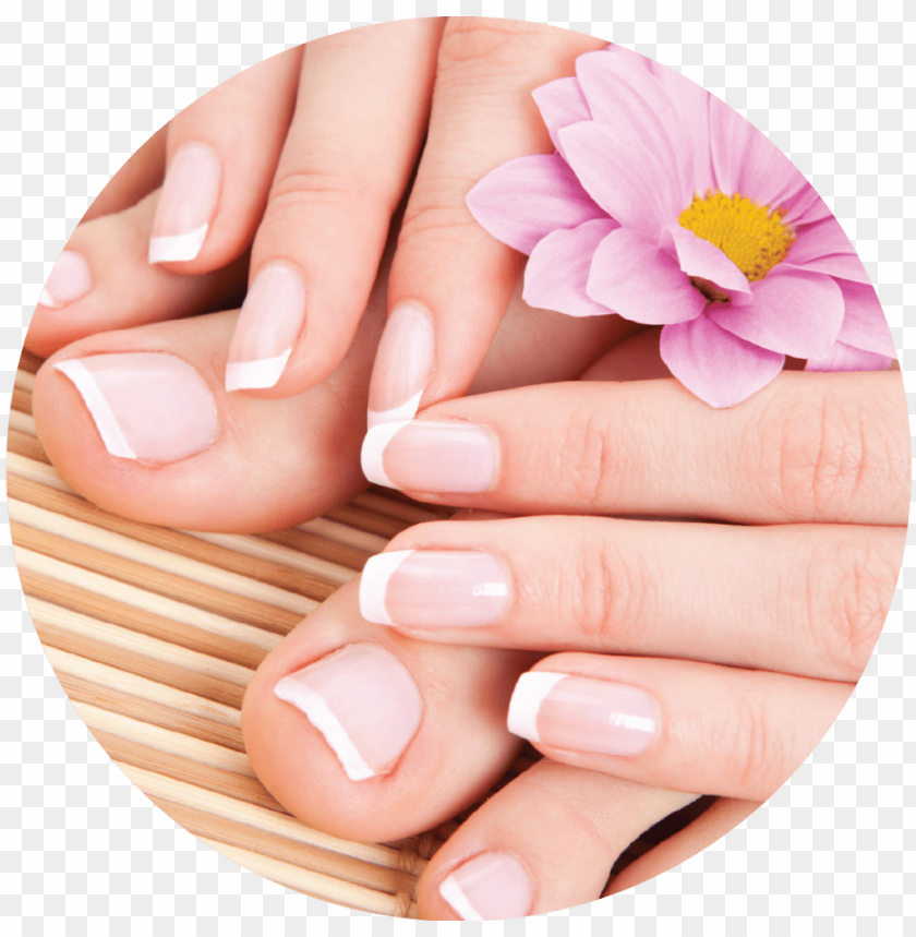 Transparent background PNG image of nails - Image ID 20546