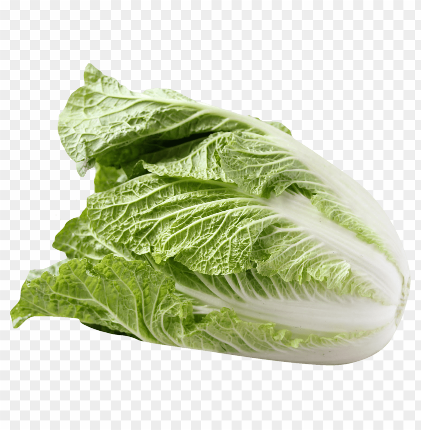 
vegetables
, 
napa cabbage
