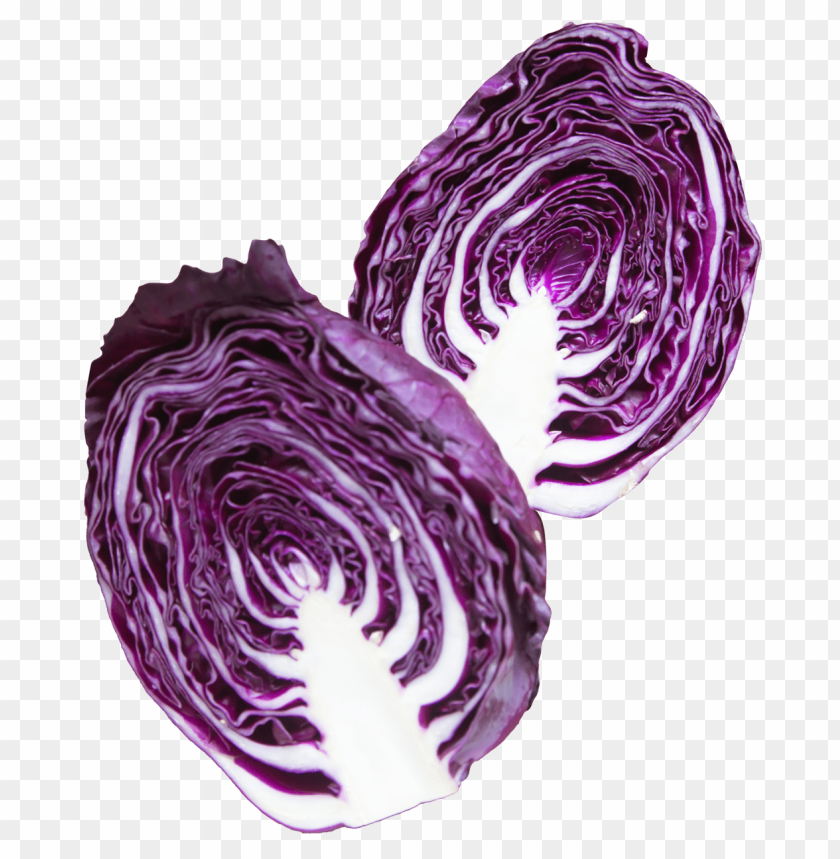 Napa Cabbage Purple PNG Images With Transparent Backgrounds - Image ID 11923
