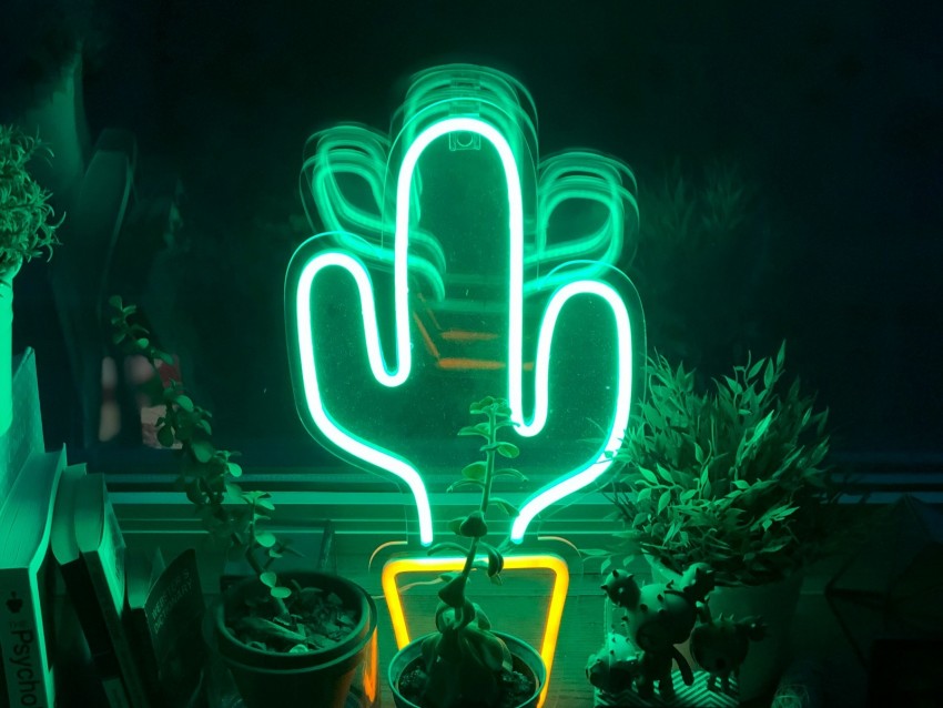 neon, cactus, flowers, light, green