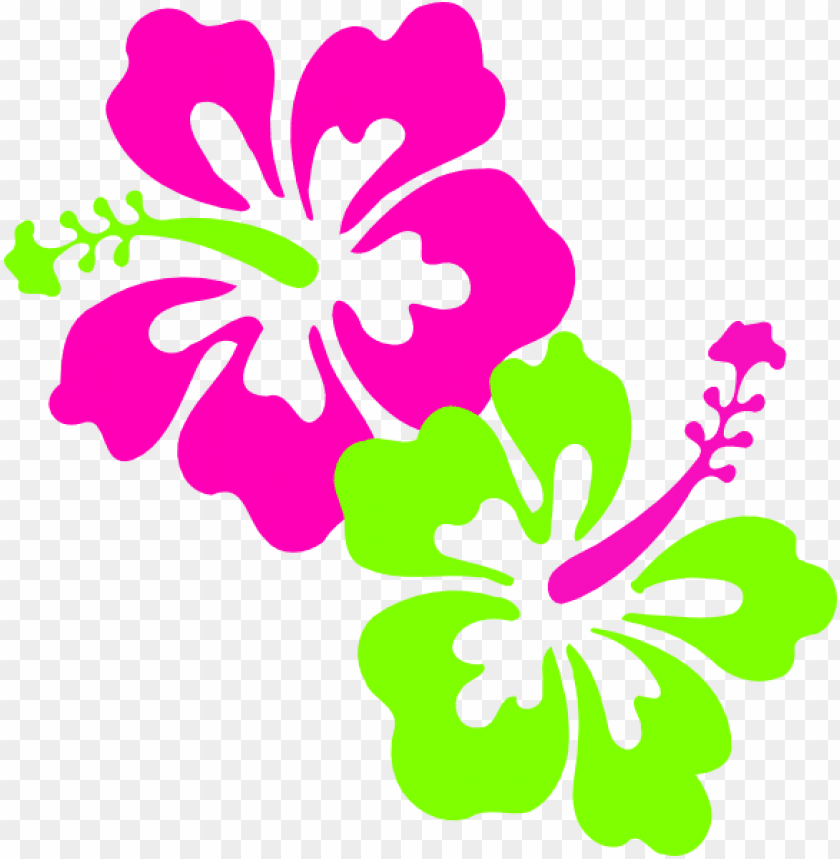 green flower, daisy, pink flower, sakura flower, flower plants, cherry blossom flower