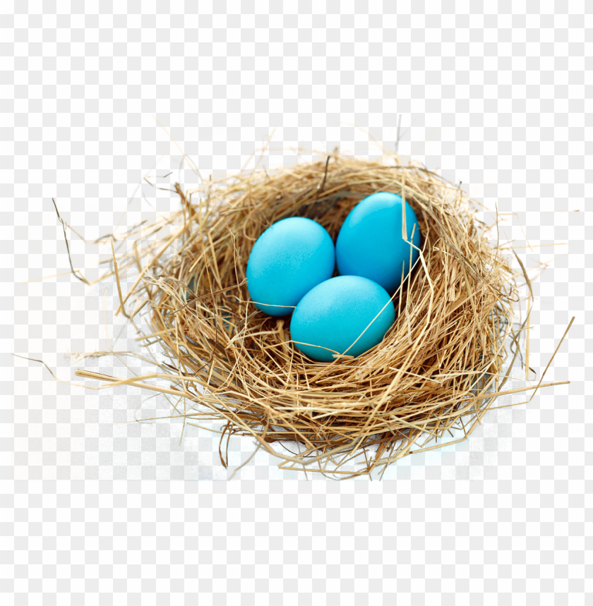 Transparent Background PNG of nest - Image ID 24018