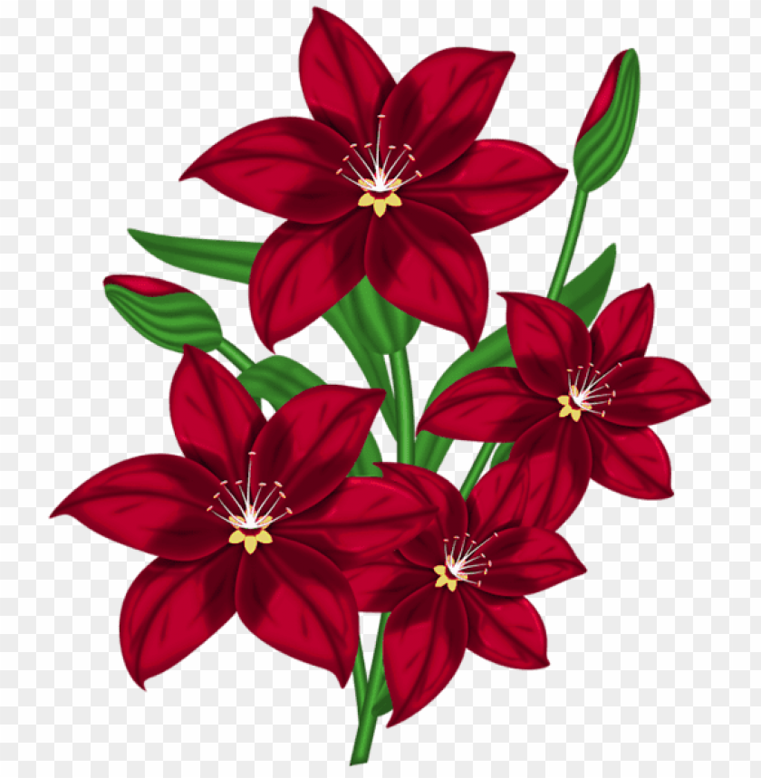 nice red png flower
